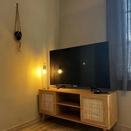 Apartment Grand Avec Jardin - Centre *