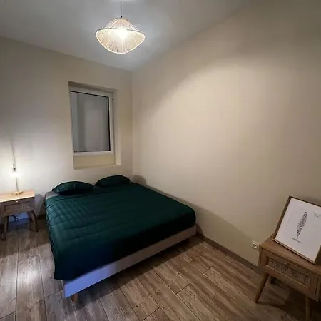 Apartment Grand Avec Jardin - Centre *